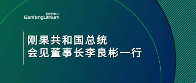 刚果共和国总统会见乐竞体育董事长李良彬一行